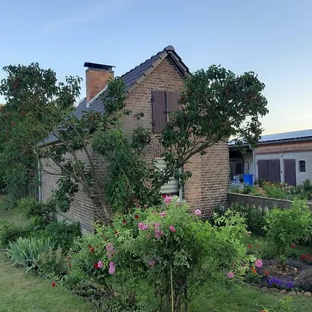 Zur Alten Sommerkueche Markische Heide Exterior photo