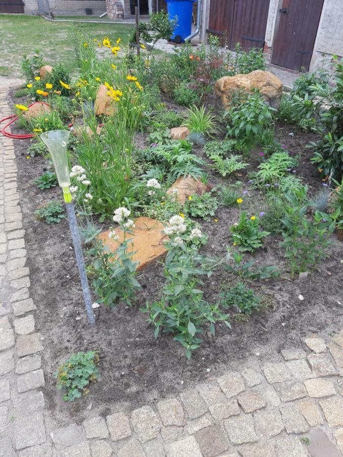 Apartment Zur Alten Sommerkueche Markische Heide